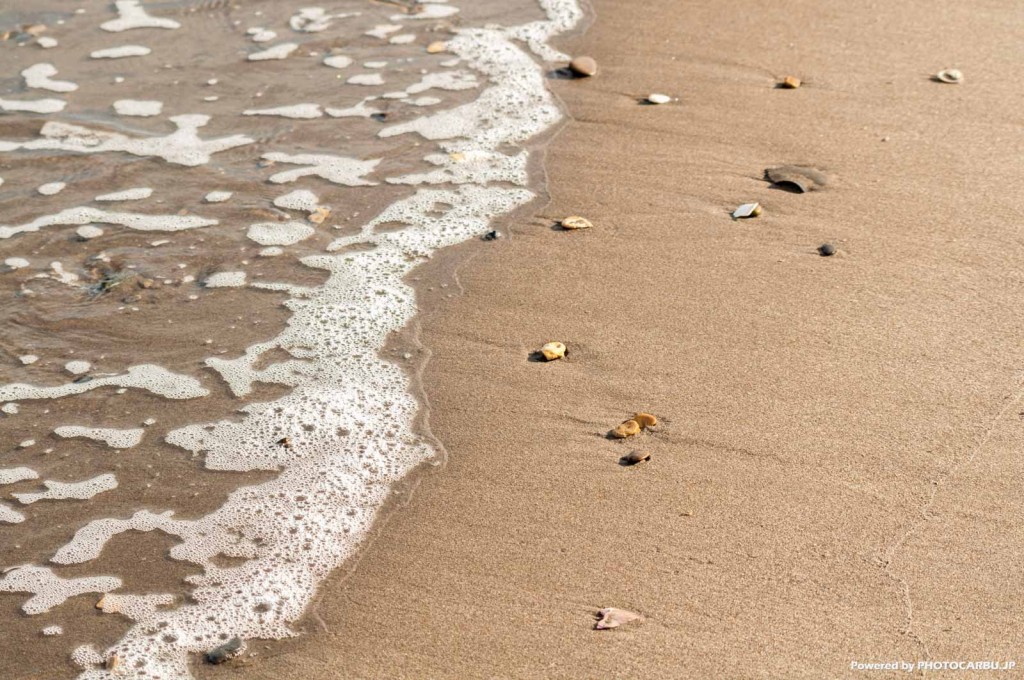海辺 - The Beach