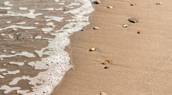海辺 – The Beach