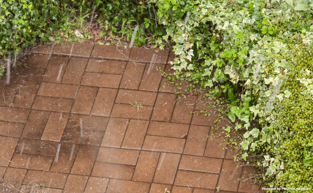 雹が・・・