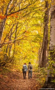 秋色の恋 – Autumnal tints love