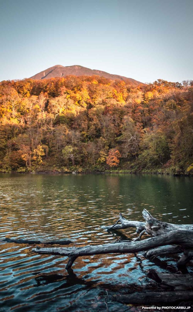 半月湖の秋 - Autumn half moon lake