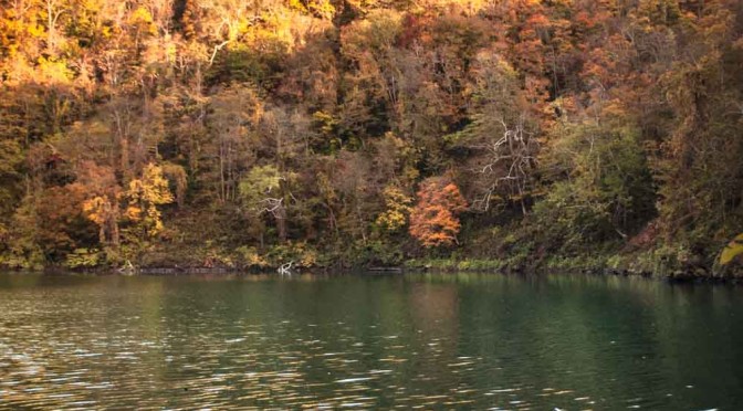 半月湖の秋 – Autumn half moon lake