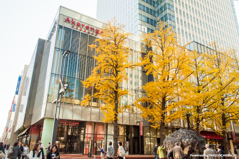 赤レンガテラスと紅葉