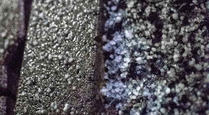 初雪 – First snow 2014