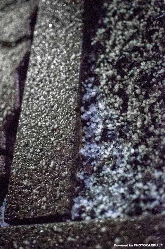 初雪 - First snow 2014
