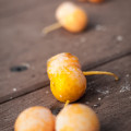 秋の風物 - 銀杏 Ginkgo
