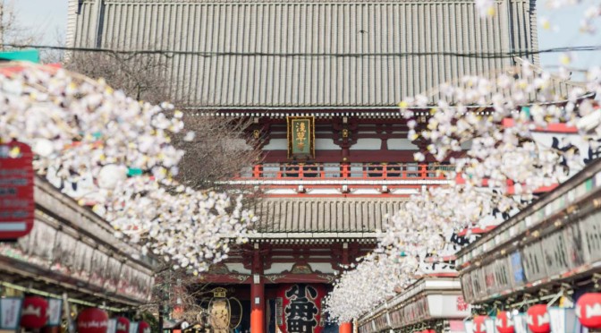 浅草寺で撮影を楽しむ