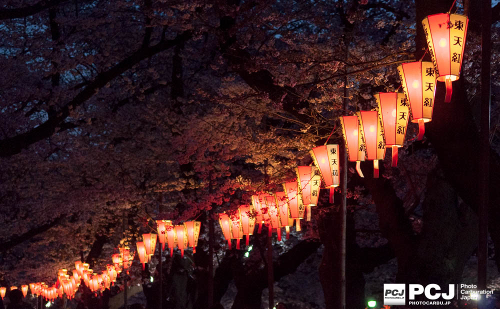 桜のアーチ横のぼんぼり