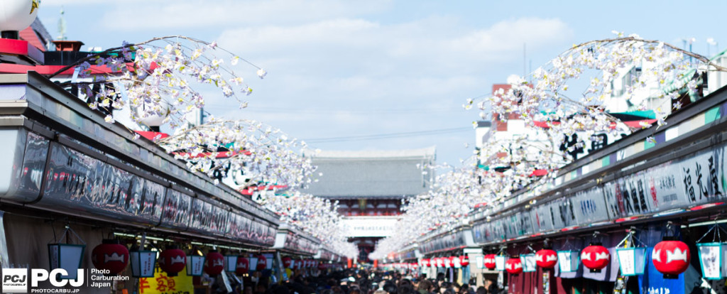 photocarbu.jp_1502_MG_6143
