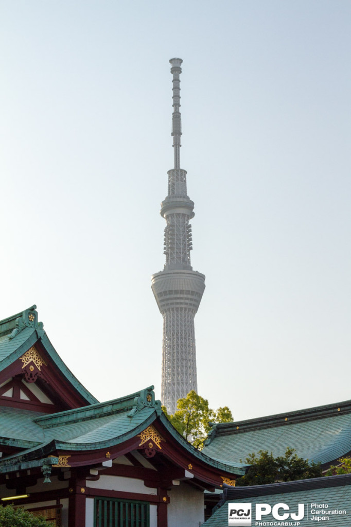亀戸天神社とスカイツリー
