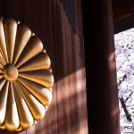 神門の菊の紋と桜