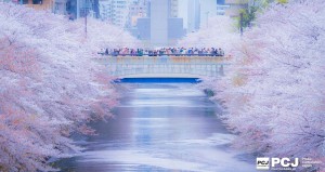 花筏を眺める人々