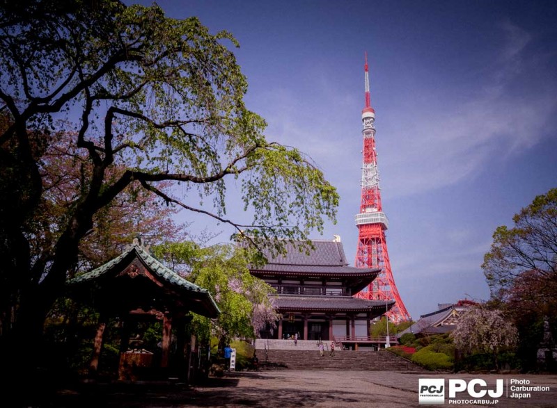 東京タワーと大殿(だいでん)