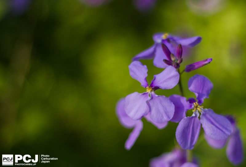 F1.8