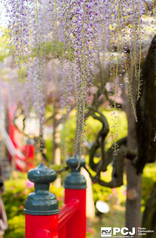 花札