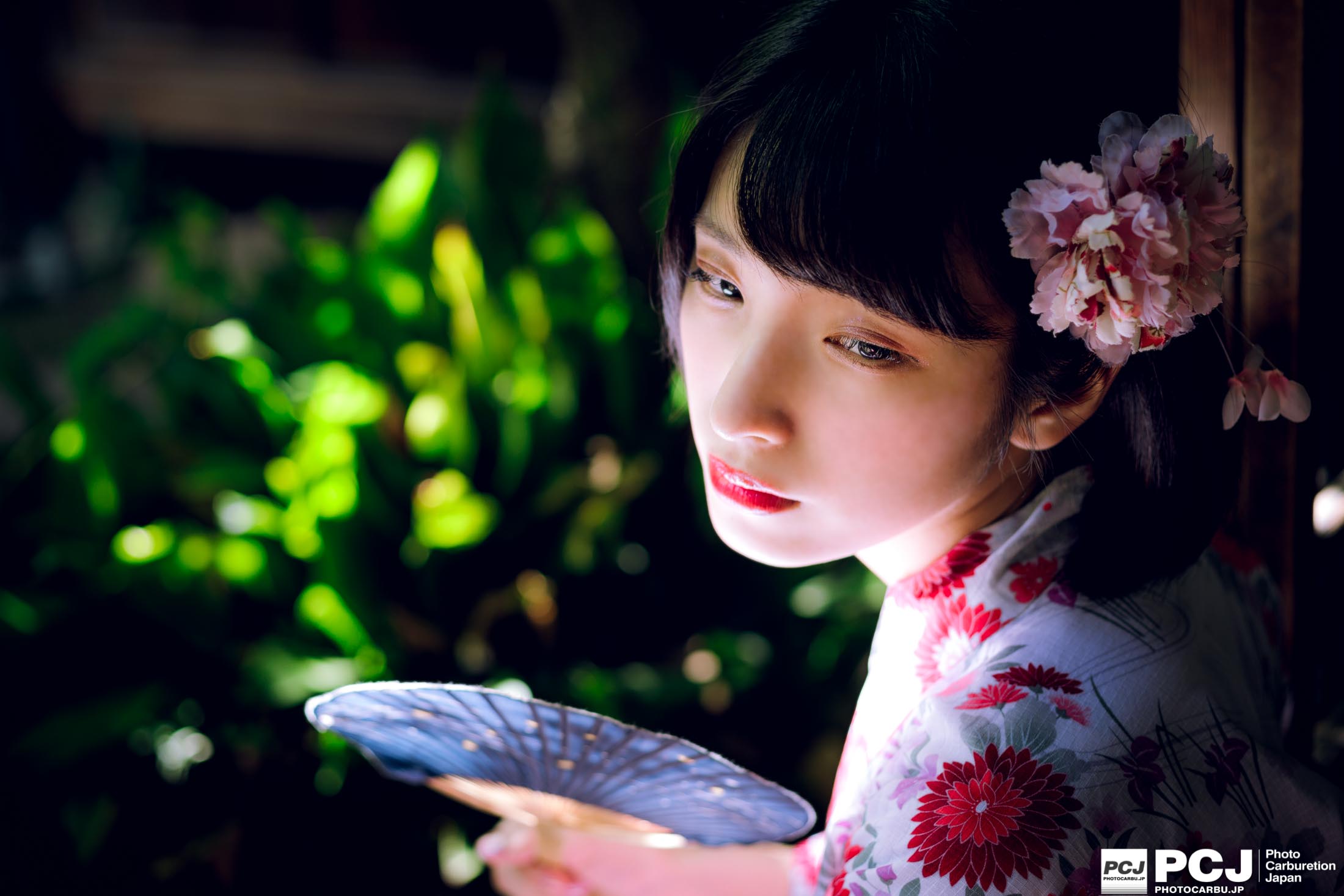 【レビュー】ハーフマクロ ZEISS Milvus 2/50MのF値毎の描写比較と作例
