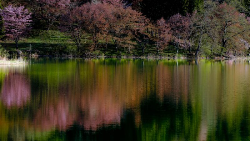 手持ち