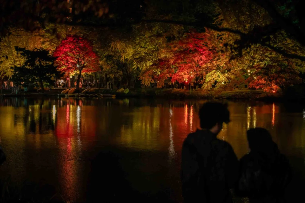中島公園の菖蒲池の水面に映るライトアップの紅葉