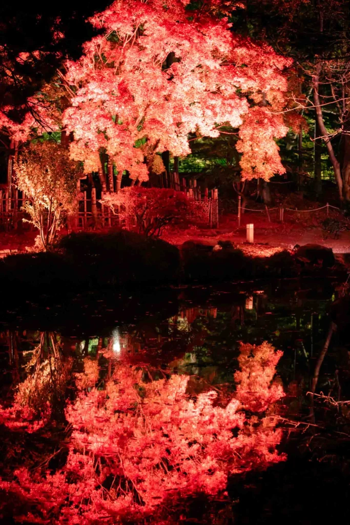 日本庭園の池の水面に映る赤い紅葉