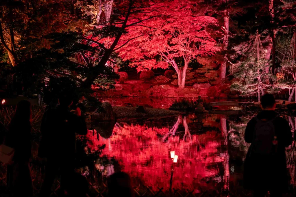 日本庭園の池に映る紅葉と眺める人のシルエット