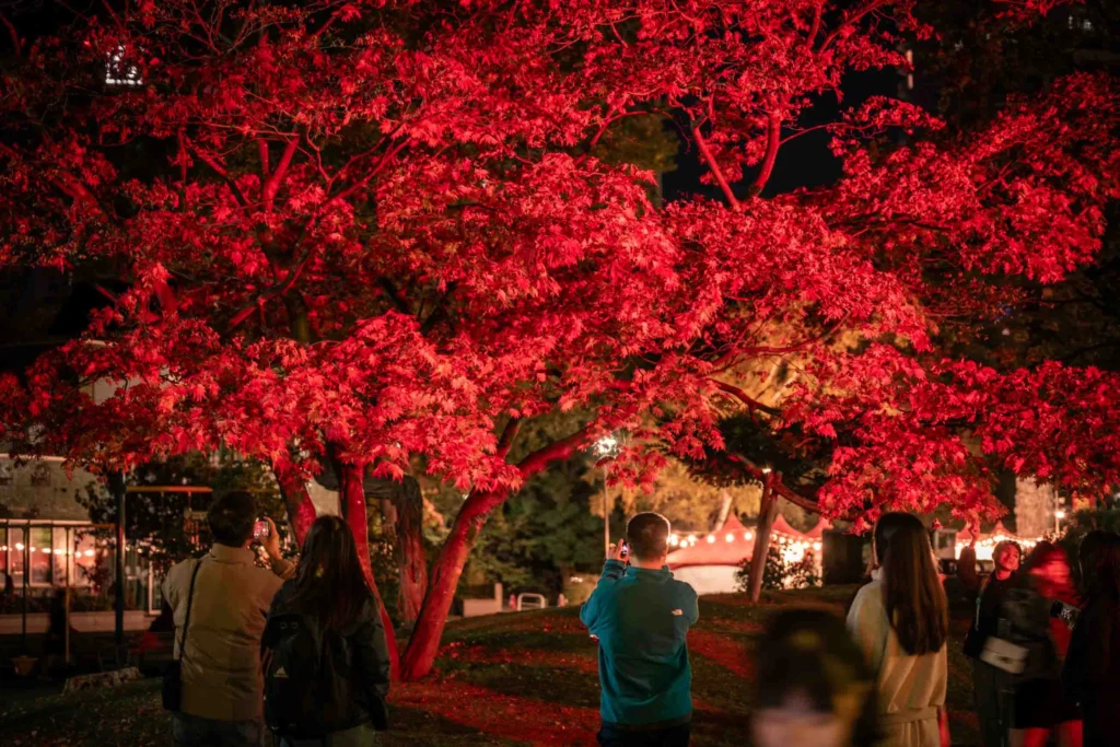 中島公園の真っ赤な紅葉の下を歩く人たち