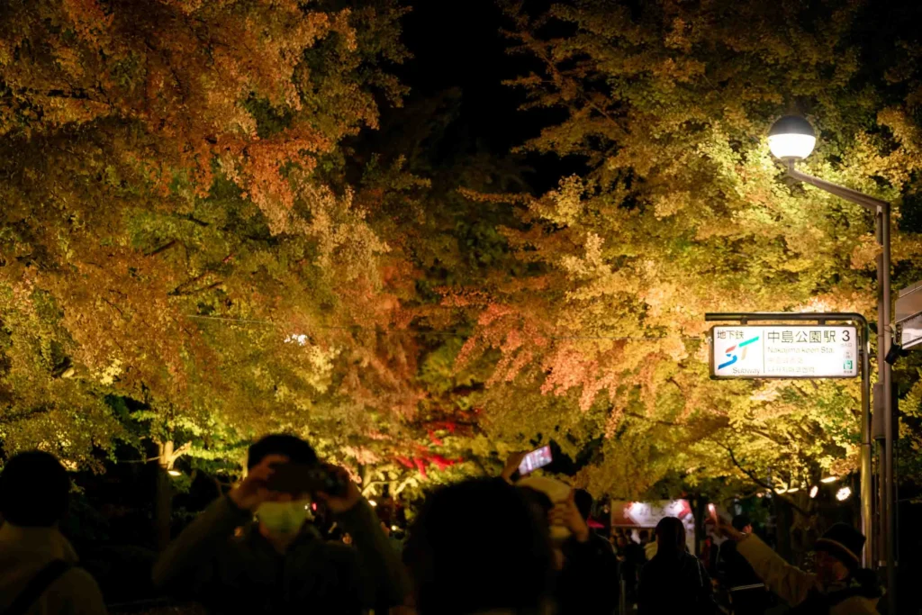 銀杏並木と地下鉄中島公園駅の出口の看板